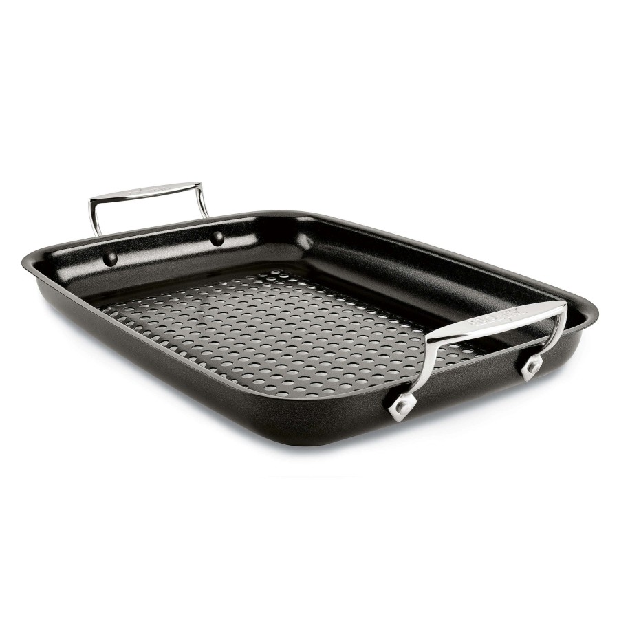 All-Clad Outdoor Nonstick Roaster, 11 X 15 Inch Roasters